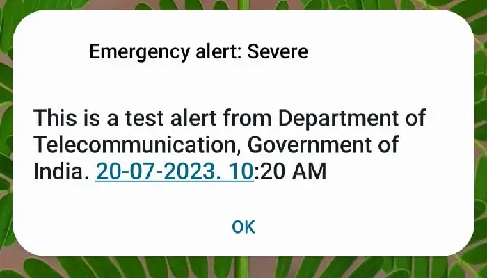Emergency Alert Service | alarm on the name of department of telecommunication of india