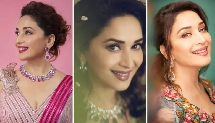 Madhuri Dixit | madhuri dixit revealed that once a unknown person entered her house for fixing light board the kapil sharma show