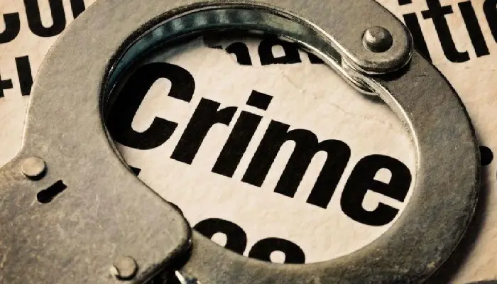 Pune Crime News | Bharti Vidyapeeth Police arrested a criminal who is tadipar
