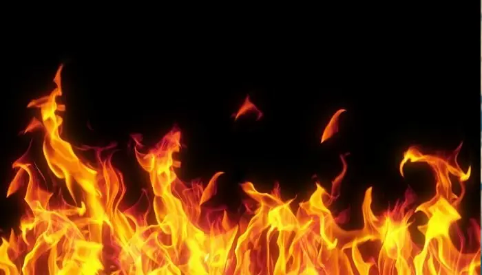 Pune Fire News | Aquarium fire in Sambhaji Park; Air conditioners caught fire