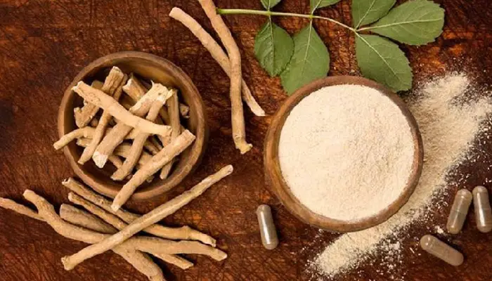 Ashwagandha Benefits | benefits of eating ashwagandha on an empty stomach know best time to eat it in marathi