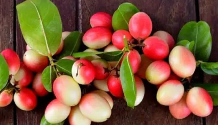 Benefits of Karonda | health benefits of karonda fruit anticancer properties help to reduced blood sugar inflammation boost digestion and mental health