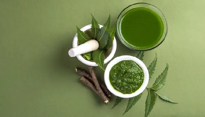Neem Health Benefits | 5 great health benefits of neem not only leaves bark and seeds are also enchanting regular intake makes body healthy
