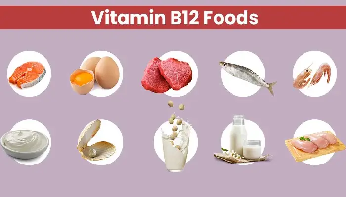Source Of Vitamin B12 | best source of vitamin b12 strengthens the nerves dairy products like milk and curd keep the body healthy