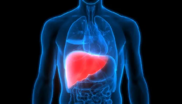 Liver Transplant | liver disease causes and prevention tips