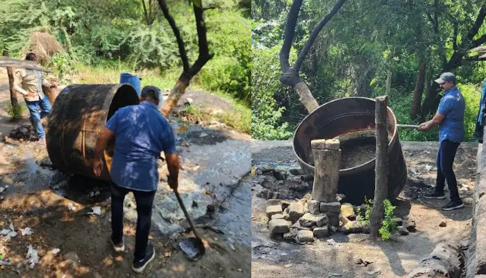 Pune Crime News | Lonikand police raided a kiln producing hand-baked liquor, seized 1000 liters of chemical