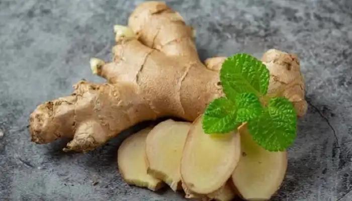 Benefits Of Ginger In Winter | health tips ginger benefits in winter