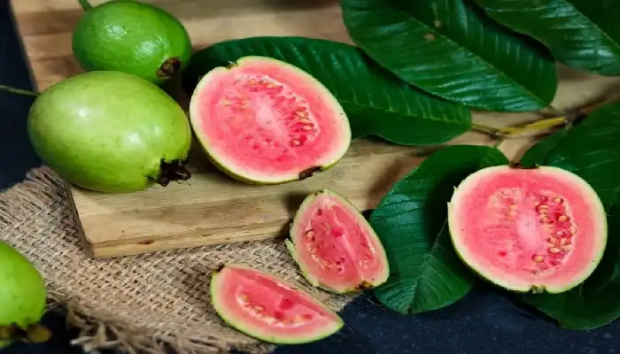 Health Benefits of Guava | health 5 amazing benefits of guava in winter season relieve constipation improve digestion or more as per dietitian