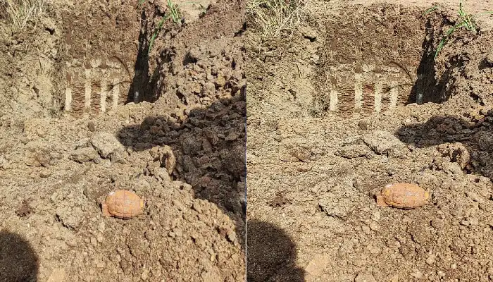Pune News | hand grenades found during metro excavation in pune baner area