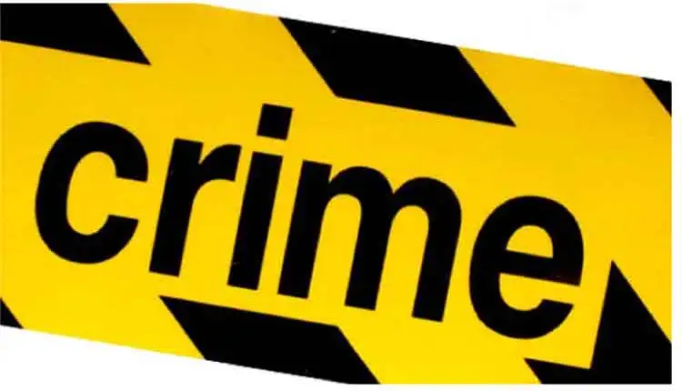 Pimpri Chinchwad Crime News | Pimpri: A stone was thrown on the head of a young man after asking him for tearing down a banner, a crime against 6 persons; One arrested